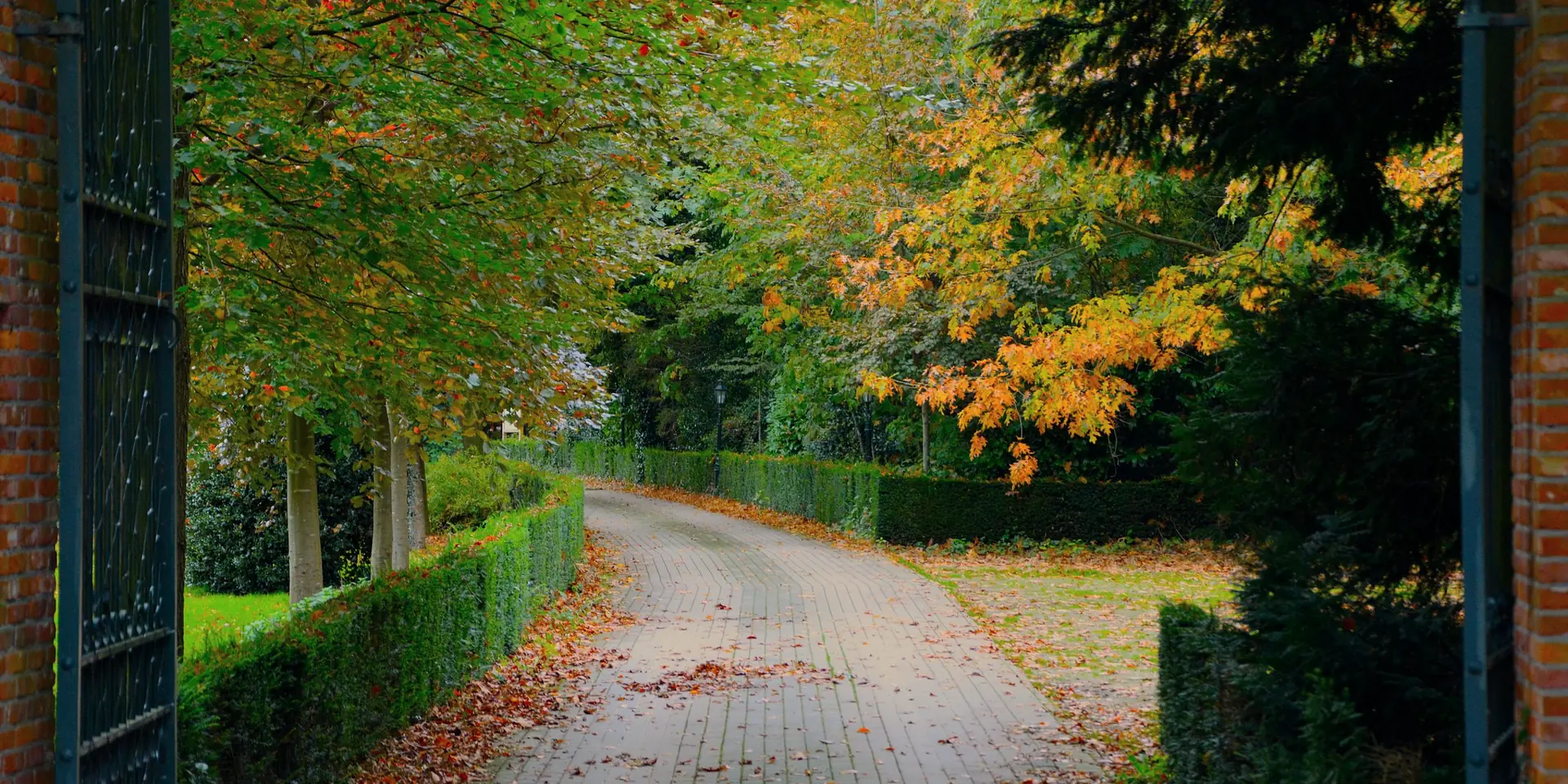 Allée pavée bordée de haies et d'arbres d'automne, vue à travers un portail ouvert